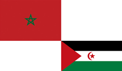 Flag of Western Sahara